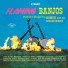 Homer and the Barnstormers
