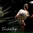 Nature Sound Collection