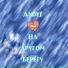 AndyS
