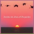 Sonidos De Aves