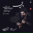Seyed Mojtaba Hoseini