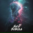 NexP