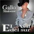 El Avil Del Sur