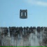 WOODJU