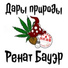 Ренат Бауэр