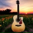 Covers Unplugged