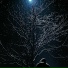 Nightcall, Thirty3