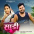 Ajeet Swaraj, Deepak Chandra, Manita Shree