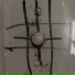Skelet