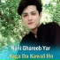 Nani Ghareeb Yar