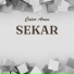 Catur Arum