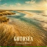 gotosea, Фоновая музыка