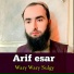 Arif esar
