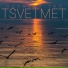 TSVETMET