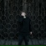 XEALAE