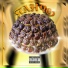 FLAVON