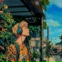 Steven Ichal Rigel