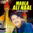 Kazim Ali Shah