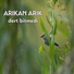 Arıkan Arık
