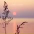 Endless Horizons