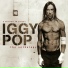 iggi pop