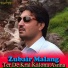 Zubair Malang