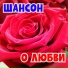 1504. Лайф Инна