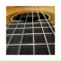 Guitar Music Oasis
