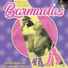 BARMUDAS