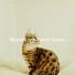 Музыка для кошек Удары