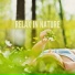 symphony orchestra sound of nature