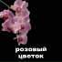 Flayek