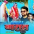 Mk Yadav