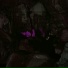 zxcursed