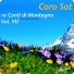 Coro Sat