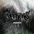 Crookers