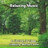 Meditation Music, Relaxing Spa Music, Yoga