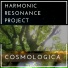 Harmonic Resonance Project