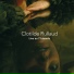 Clotilde Rullaud, Hugo Lippi