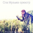Спа Музыка оркестр