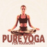 Core Power Yoga Universe, Yin Yoga Academy