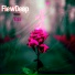FlewDeep