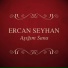 Ercan Seyhan