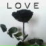 elv