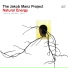 Jakob Manz, The Jakob Manz Project