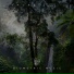 Gert-Jan Kleyne, Roy Gomes