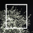 The Micronaut