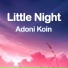 Adoni Koin
