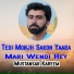 Mustansar Kareem