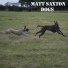 Matt Saxton